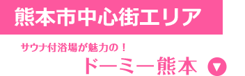 熊本市中心街エリア