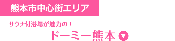 熊本市中心街エリア